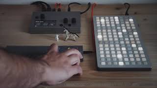 Monome Norns + Grid (Cheat-Codes 2) and Teenage Engineering OP-Z
