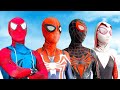 Team spider man in real life 329  marvels spiderman 2  napoleon  american fiction  tiger 3