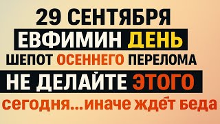 Евфимьин День: Древние Тайны Птичьей Костоправки и Запреты Осеннего Перелома