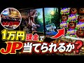 【GOD参戦!!】最新版メダルゲームに1万円も課金したら流石にジャックポット取れる説。【フォーチュントリニティ6】