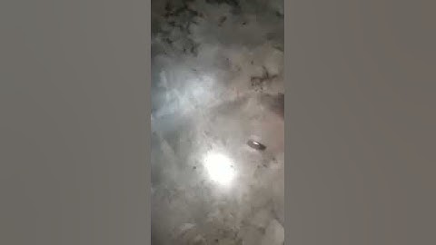 POCO F1 super slow mo video at 960 fps latest beta update