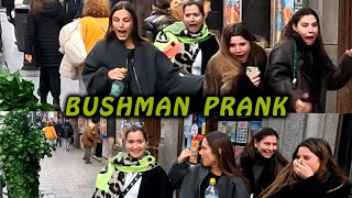 broma  hombre arbusto:  sustos y reacciones graciosas // bushman prank