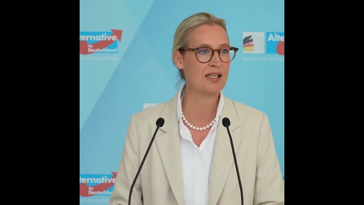 Weidel: "'Links ist vorbei'? Merz lügt, NGO-Finanzierung läuft weiter wie zuvor!" - YouTube