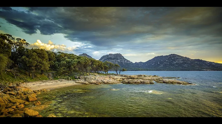 Community Service Announcement - Planet Ark National Tree Day 2017