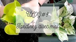 VLOG#4 👩🏻‍🌾 Jardinez avec moi : Spécial rempotage avec mélanges (pothos, philo, syngonium)