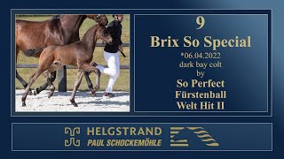 9 - Brix So Special by So Perfect/Fürstenball - Helgstrand-Schockemöhle Auction on June 4th 2022