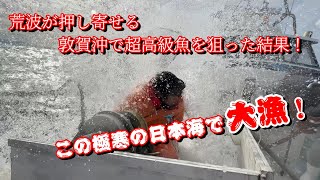 【大漁】危険な高級魚漁に密着！【敦賀漁師一美丸の命がけの延縄漁】