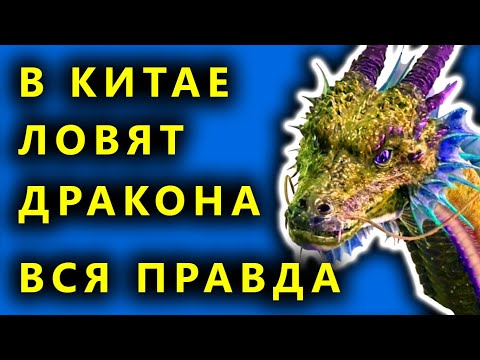 Видео: В Китай мистериозният дракон в небето беше заснет отново - Алтернативен изглед