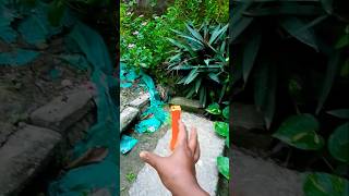Ono What for end #funny #viral #video #youtubeshorts #trending 💯😱🧿🐸🐛1