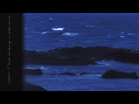 Jazzzcz Letter That Writing In The Wind