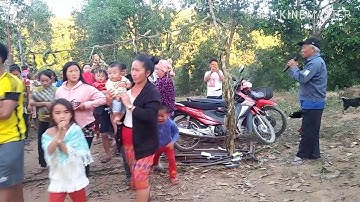 Saib hmoob kiam kuab lwm qaib noj 30 xyoo .2019