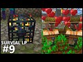 XP Grinder &amp; Villager Breeder-Minecraft Survival LP #9