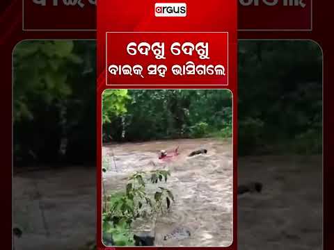 ଦେଖୁ ଦେଖୁ ବାଇକ୍‌ ସହ ଭାସିଗଲେ | Odisha Flood | Heavy Flood | Argus News
