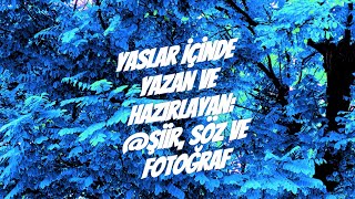 Yaslar İçinde Şk Ilık Videolar