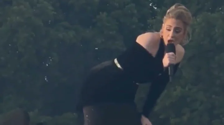 Stan twitter: Adele twerking live at the Hyde Park