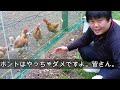 【真似しないでね】電気柵触ってみた。　Ｉ touched the electric fence. free range eggs,