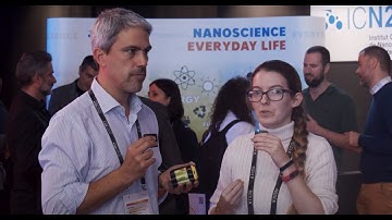 GraphenicaLab at PUZZLE X: 2D materials for conventional electronics