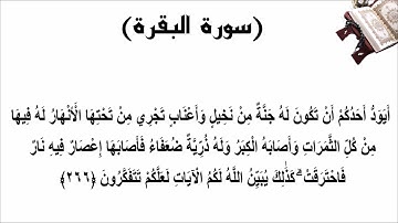 سورة البقرة الاية 266