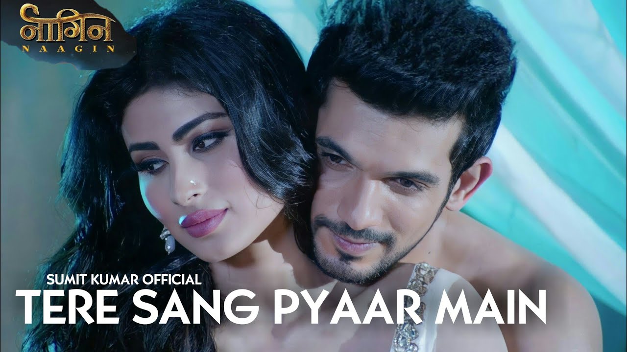 Tere Sang Pyar Main Nahin Todna   Naagin  Colours TV