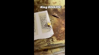 The King Reclus is Dead!