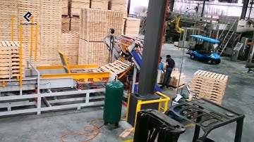 Pallet nailing machine with turning over and branding