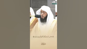 ذَٰلِكَ عِيسَى ابْنُ مَرْيَمَ ۚ . تلاوة جميلة جداً فضيلة الشيخ بدر التركي تلاوة من سورة مريم.