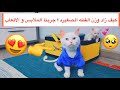 واخيراً تحسنت القطه الصغيره 😍 كيف زاد وزنها 🤔؟ ملابس و العاب القطط / Mohamed Vlog
