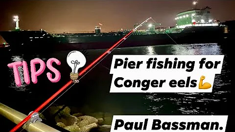 PIER FISHING FOR CONGER EELS-A BEGINNERS GUIDE-WHAT YOU NEED TO KNOW