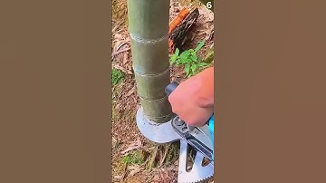 Creative Smart Ideas Cutting Bamboo Using Special Tools Super Sharp And Highly Efficient #Shorts