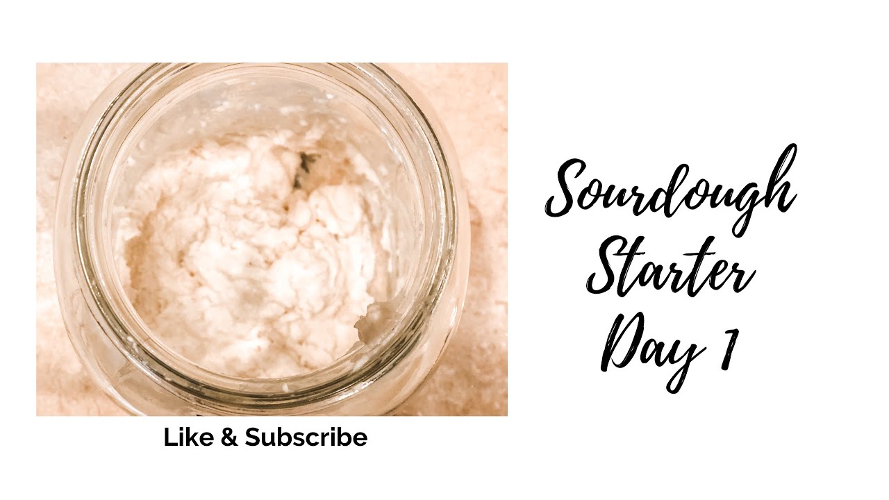Sourdough Starter Day 1 YouTube