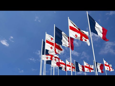 საფრანგეთიდან მიღებული 945 მილიონის დიდი ნაწილი სამთავრობო უწყებებს მოხმარდა