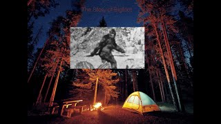 Bigfoot (A Gorilla Tag Short)