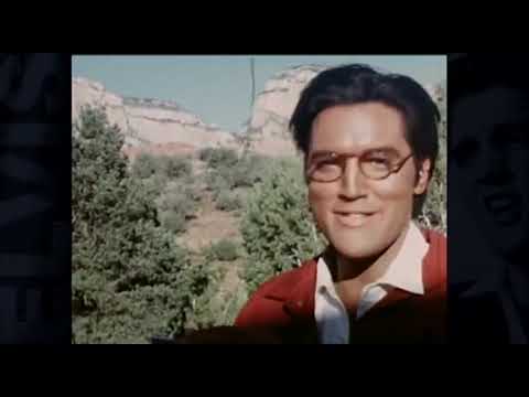 Elvis Presley's Graceland  His Life, His Story, Graceland Tour Video