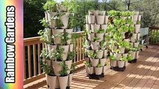 Whats Growing in Late April?