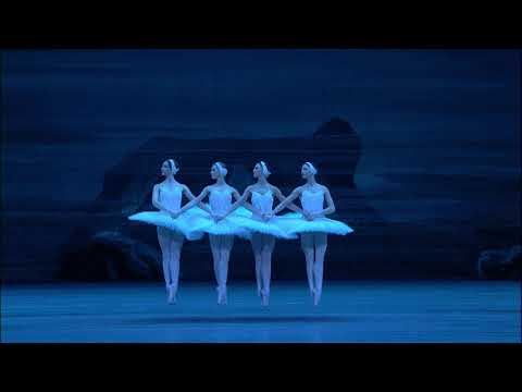 SWANLAKE at Bolshoi