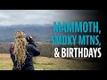 Mammoth Cave, Smoky Mountains and Birthday Celebrations/ Tiny Shiny Home