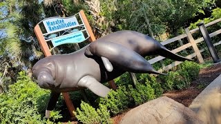 SeaWorld Orlando's Manatee Rehabilitation Area