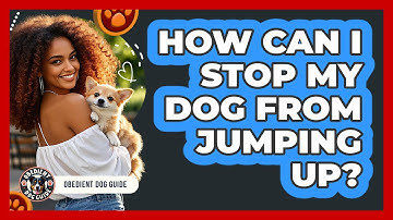 How Can I Stop My Dog From Jumping Up? - Obedient Dog Guide