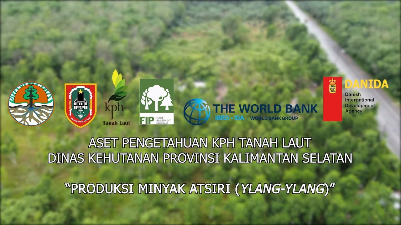 KNOWLEDGE ASSET MINYAK ATSIRI YLANG YLANG