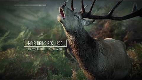 Parallax Winter After Effects Template