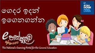 Best way to Learn From home | E learning | e thaksalawa | online lesson (sinhala) screenshot 3