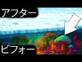 南極がジャングルだった頃：凍てつく大陸の驚くべき変貌! - 地球の歴史