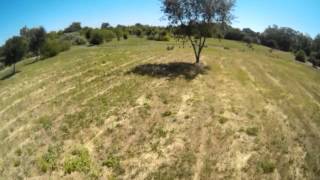 Strider Flex Mini Quad - Acro Practice