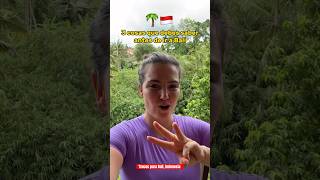 Todo Lo Que Necesitas Sobre Viajar A Bali Indonesia bali indonesia viajes viajesporelmundo