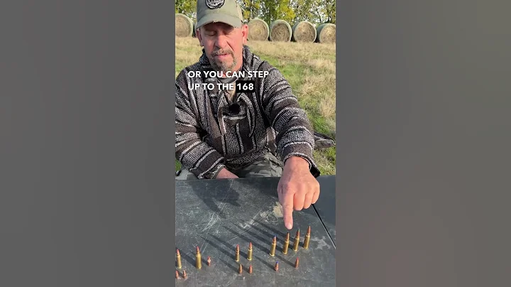 What is The Best Bullet for Hog Hunting? #hoghunting #hunting