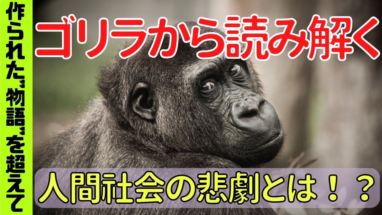 『作られた「物語」を越えて』山極寿一　解説授業【中３国語】