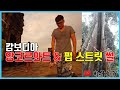 캄보디아의 앙코르와트와 펍 스트릿 다녀온 썰 [해외여행]