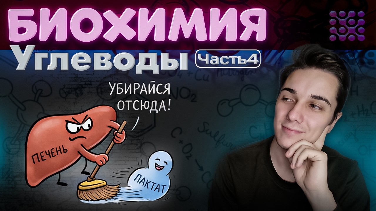 БИОХИМИЯ ПОЛНЫЙ КУРС | Лекция 7 | ГЛЮКОНЕОГЕНЕЗ | НЕ ЗУБРИ ЭТО! Я объясню ЛОГИКУ простыми словами