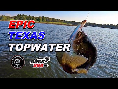 EPIC Texas TOPWATER Bass Fishing  Lucky Craft GUNFISH 95 