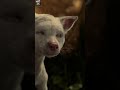 لمشاهدة باقي الفيلم اضغط متابعه Subscribe فيلم ملخص ملخص افلام تلخيص افلام ملخص فيلم في البيكو لمشاهدة باقي الفيلم اضغط متابعه Subscribe فيلم ملخص ملخص افلام تلخيص افلام ملخص فيلم في البيكو